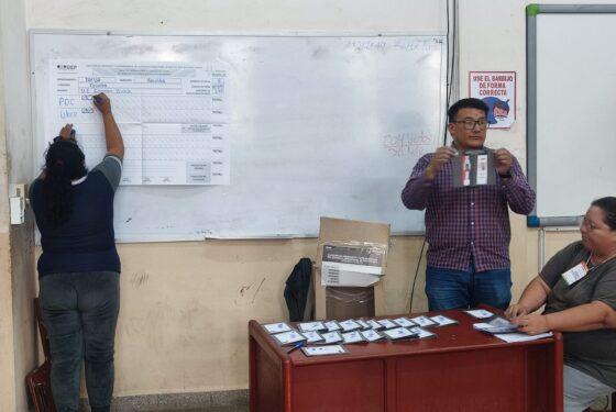 Misiones de observación buscan contribuir a la transparencia